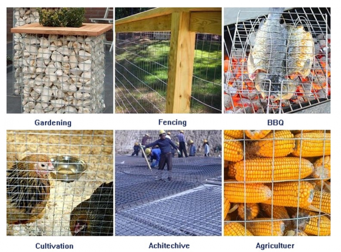 قفس حیوانات BWG23 1/2 اینچ مش سیم جوشی فولادی ضد زنگ درجه 201 1